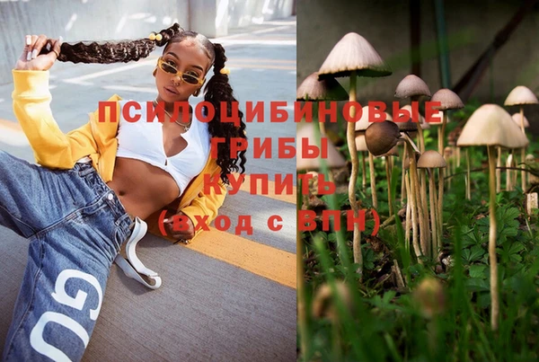 a pvp Володарск