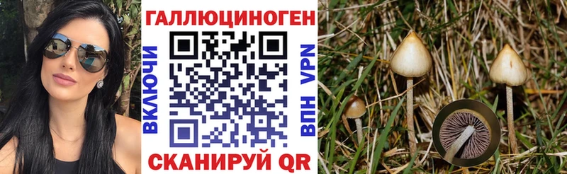 Купить закладки  Буй  Галлюциногенные грибы Psilocybine cubensis 